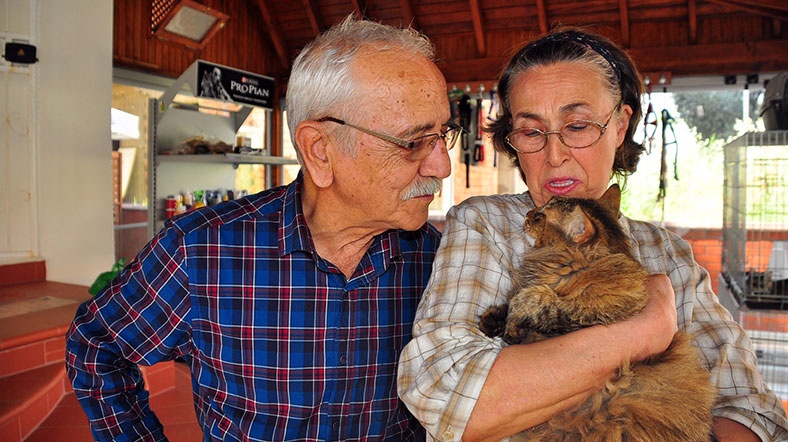 kayip kedi sosyal medyadan bulundu al jazeera turk ortadogu kafkasya balkanlar turkiye ve cevresindeki bolgeden son dakika haberleri ve analizler