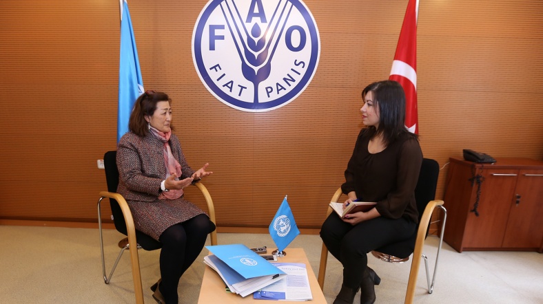 al jazeera turk