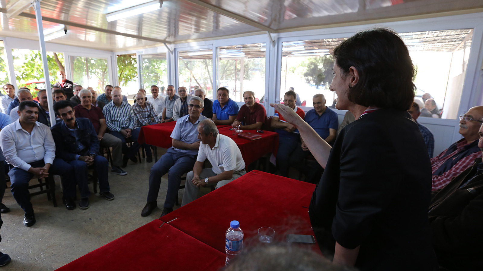 mülkiye birtane