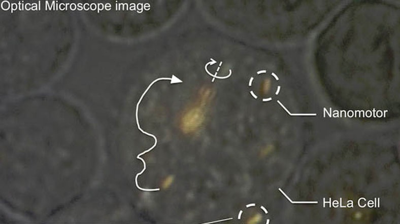 Tedavide nanomotorlu hücre dönemi