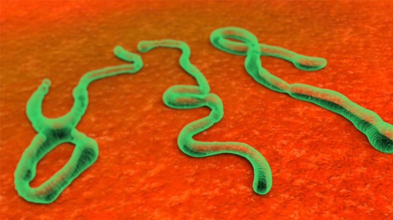 Liberya'dan gelen Kanadalının hastalanması, Kanada'da Ebola endişesine neden oldu. Liberya'dan gelen Kanadalının hastalanması, Kanada'da Ebola endişesine neden oldu.