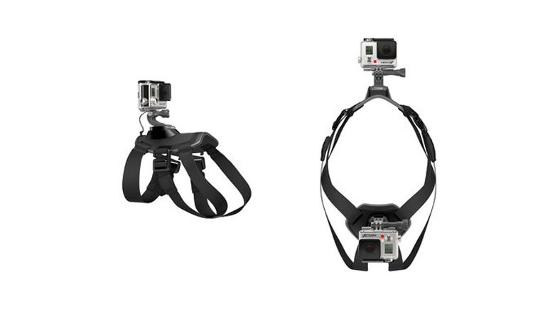 GoPro kullanıcıları köpeklerine de kamera takabilecek GoPro kullanıcıları köpeklerine de kamera takabilecek