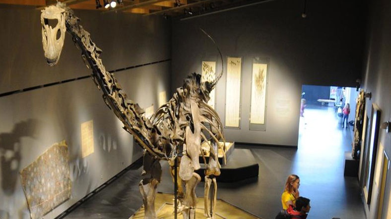 150 milyon yaşındaki dinozorun uzun süre sergileneceği açıklandı 150 milyon yaşındaki dinozorun uzun süre sergileneceği açıklandı