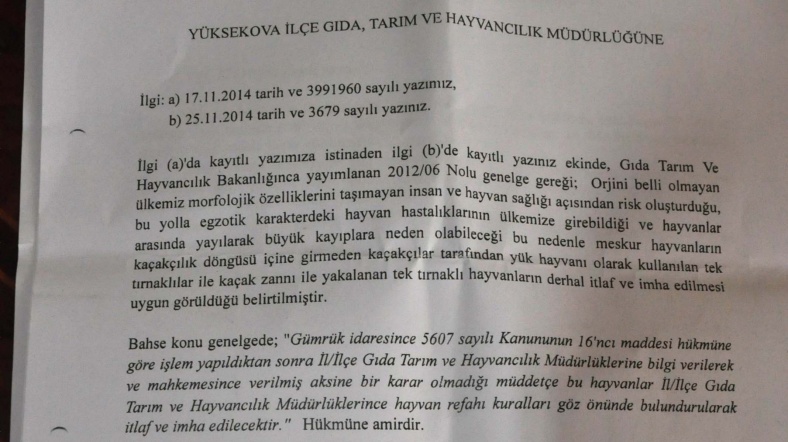 katır3 katır3