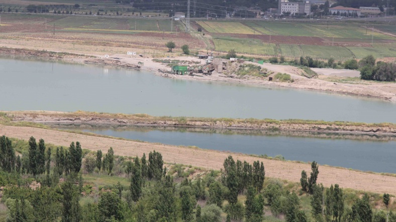 dicle